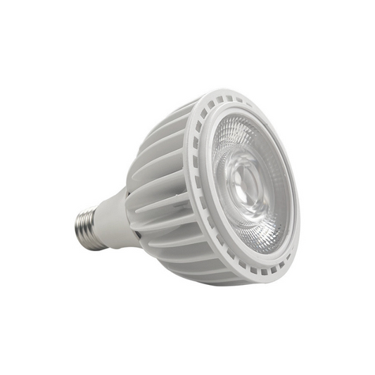 Grow Light bulb PAR30 26w (Home series)
